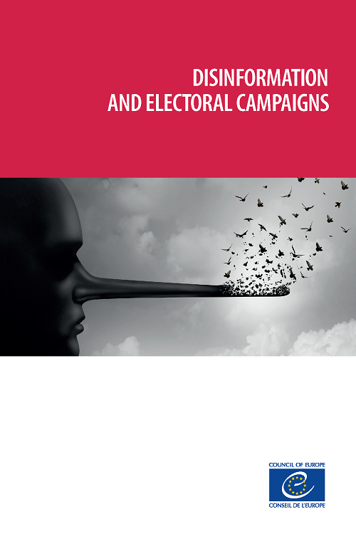 Disinformation and electoral campaigns