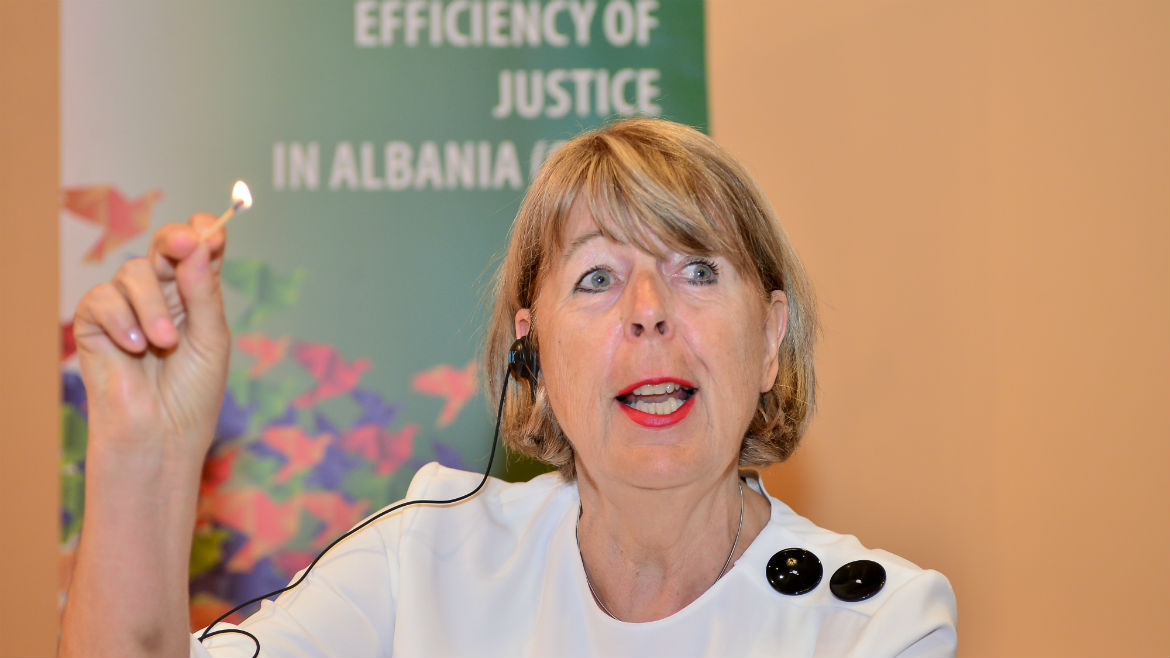 Brigitte Koppenhöfer, expert of the European Commission for the Efficiency of Justice (CEPEJ)