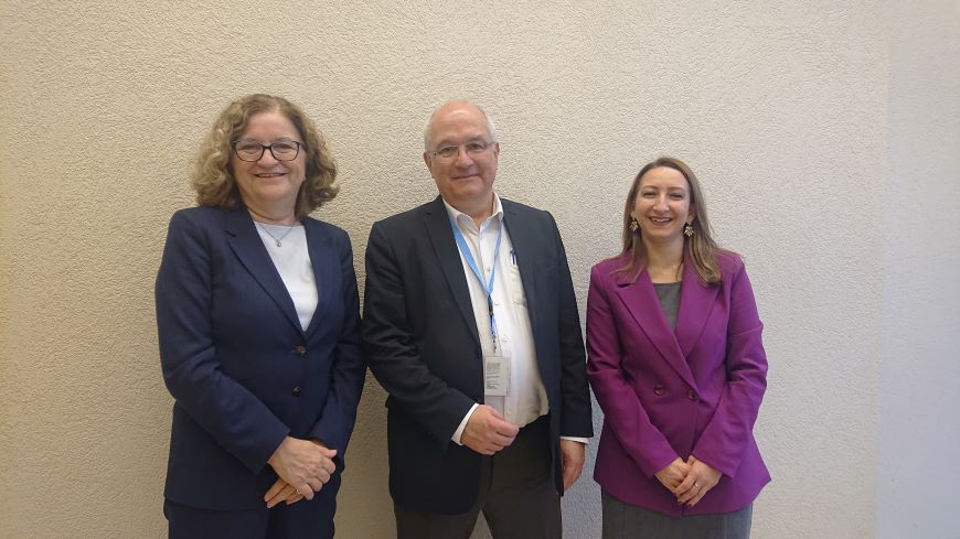 Council of Europe minorities and minority languages expert at the sixteenth session of the United Nations Forum on Minority Issues