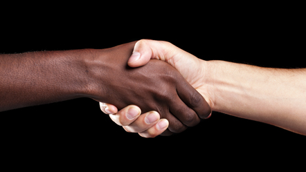 The European Commission against Racism and Intolerance (ECRI)