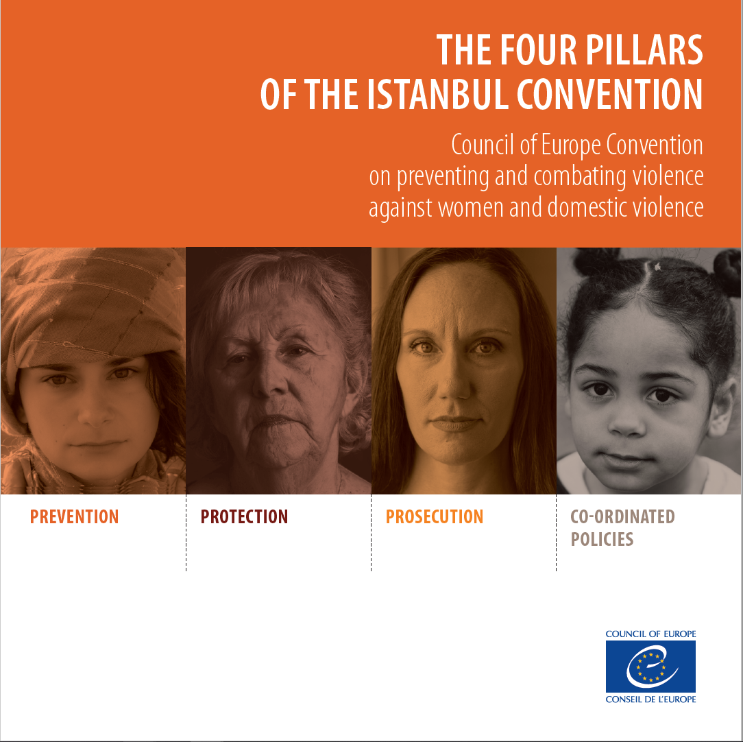 Combating Violence against Women and Domestic Violence (GREVIO) - Civil ...