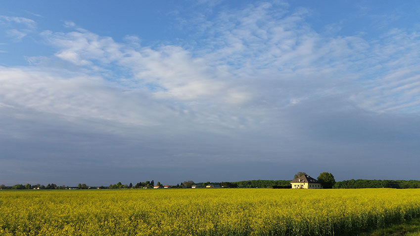 Landscape Award of the Council of Europe