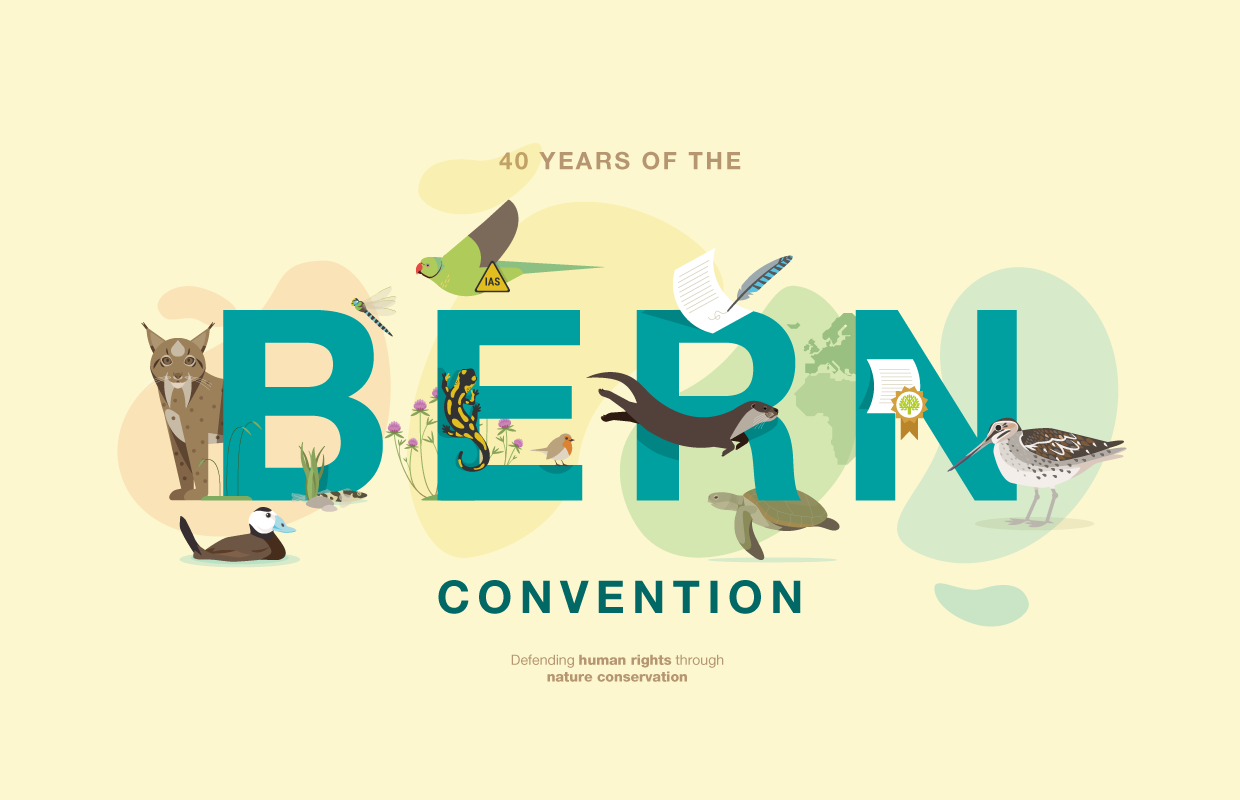 40 years of Bern Convention