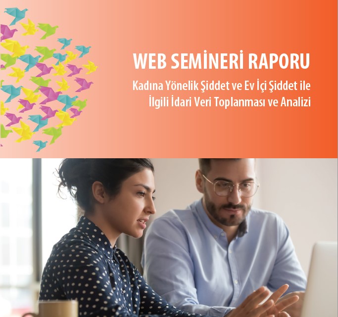 Yeni Rapor: Kadına Yönelik Şiddetle ilgili Veri Toplanmasına ilişkin Avrupa Standartları ve Ümit Veren Uygulamalar