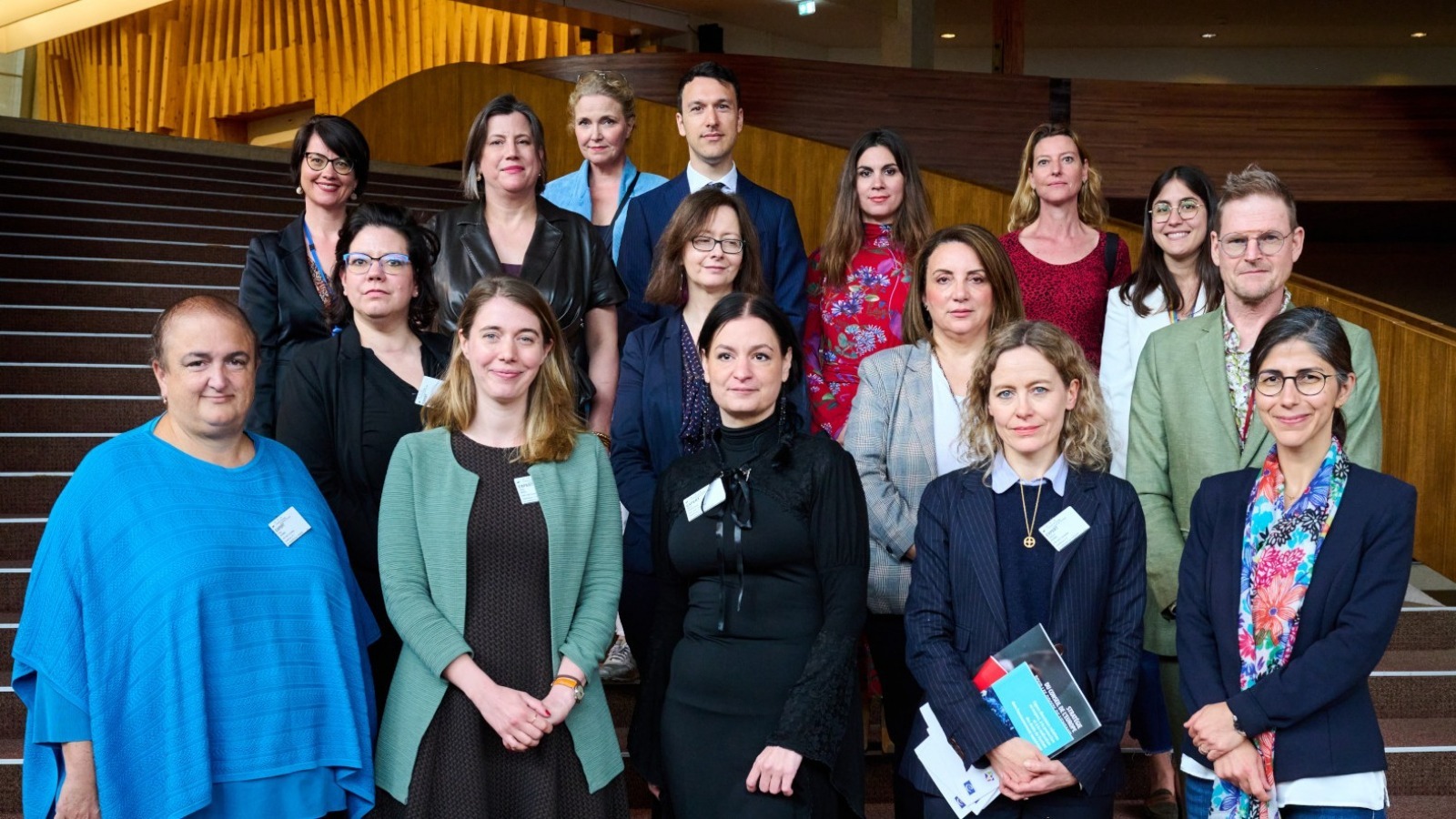Outcome of the 1st Committee of Experts on the Prevention of Violence (ENF-VAE)